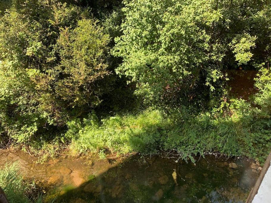 L'Ancienne Raffinerie De Tabac Villa Dernacueillette Kültér fotó